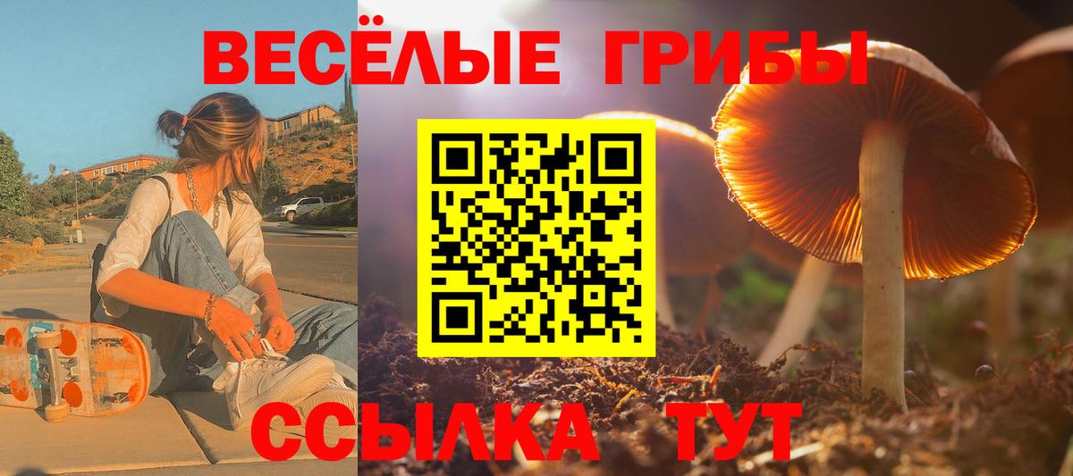 закладки  Вход с VPN  Холмск  Псилоцибиновые грибы мицелий 